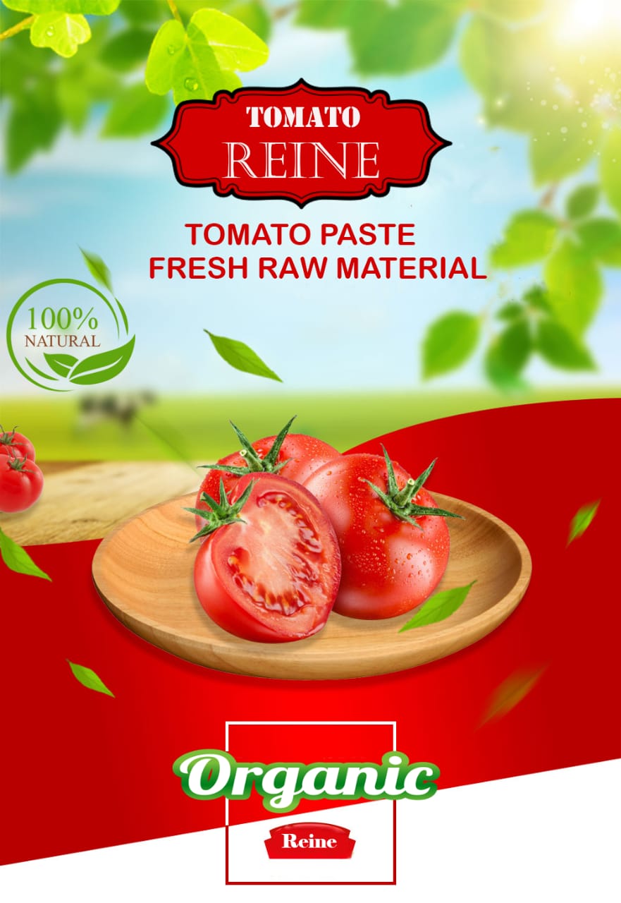 Tomato Reine /Organic Reine